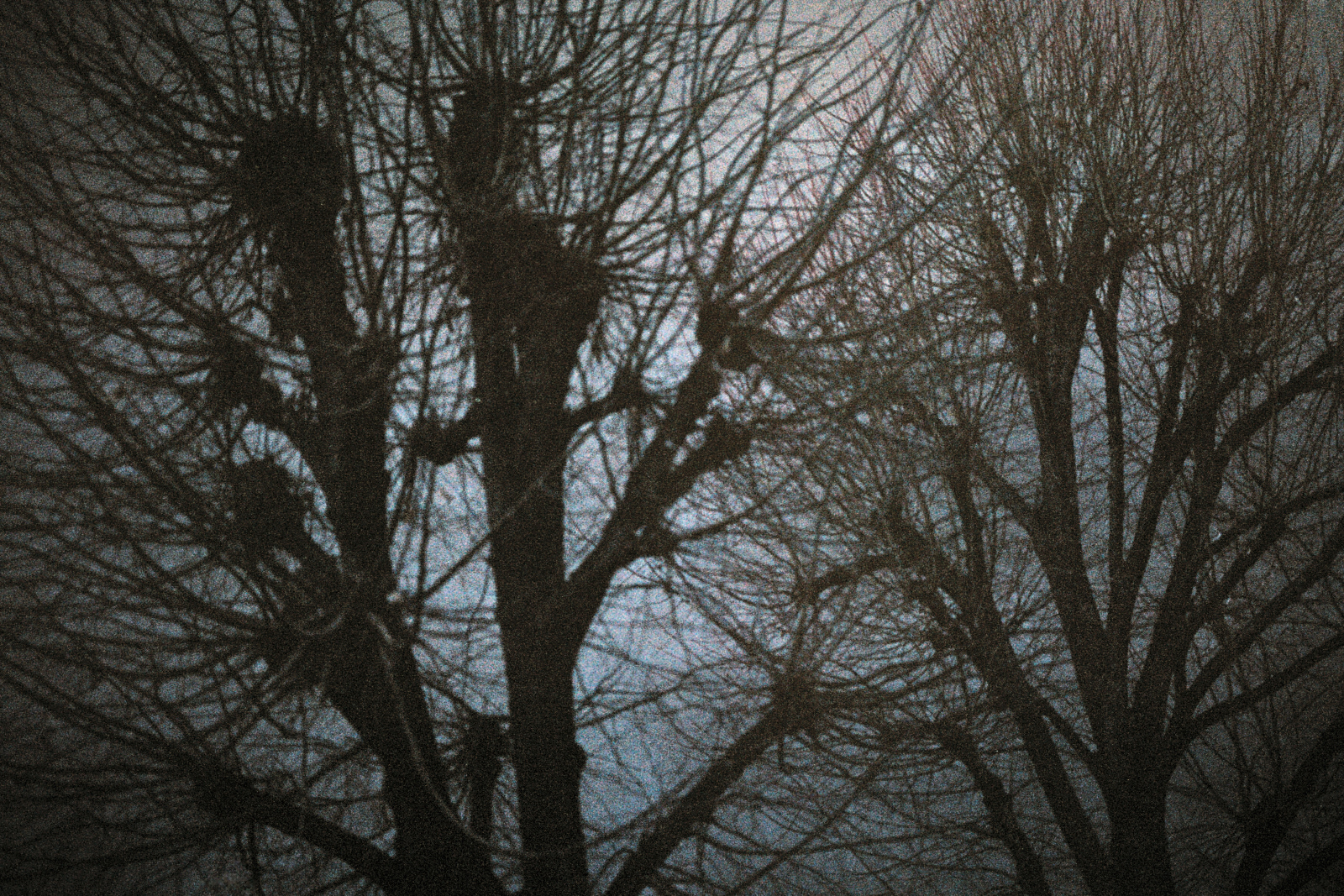 © Boyan Drenec